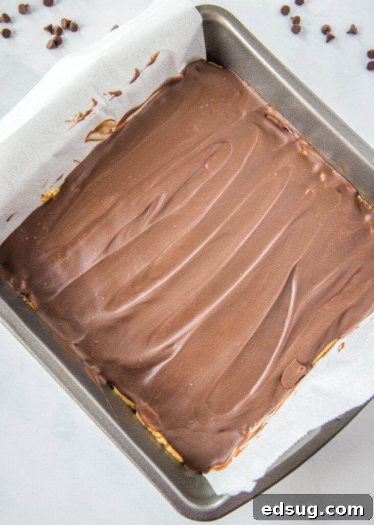 Power-Packed Peanut Butter Protein Bars 3 protein bars in pan with chocolate on top