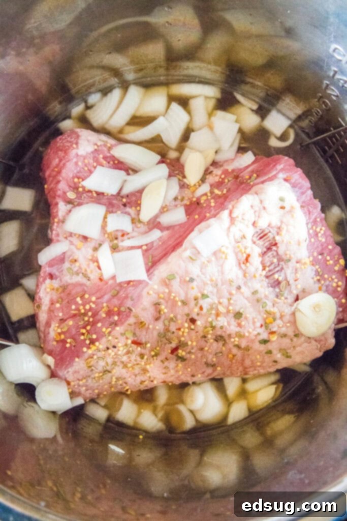 Perfect Instant Pot Corned Beef 3 Uncooked corned beef brisket with onions and garlic in an Instant Pot, ready for pressure cooking