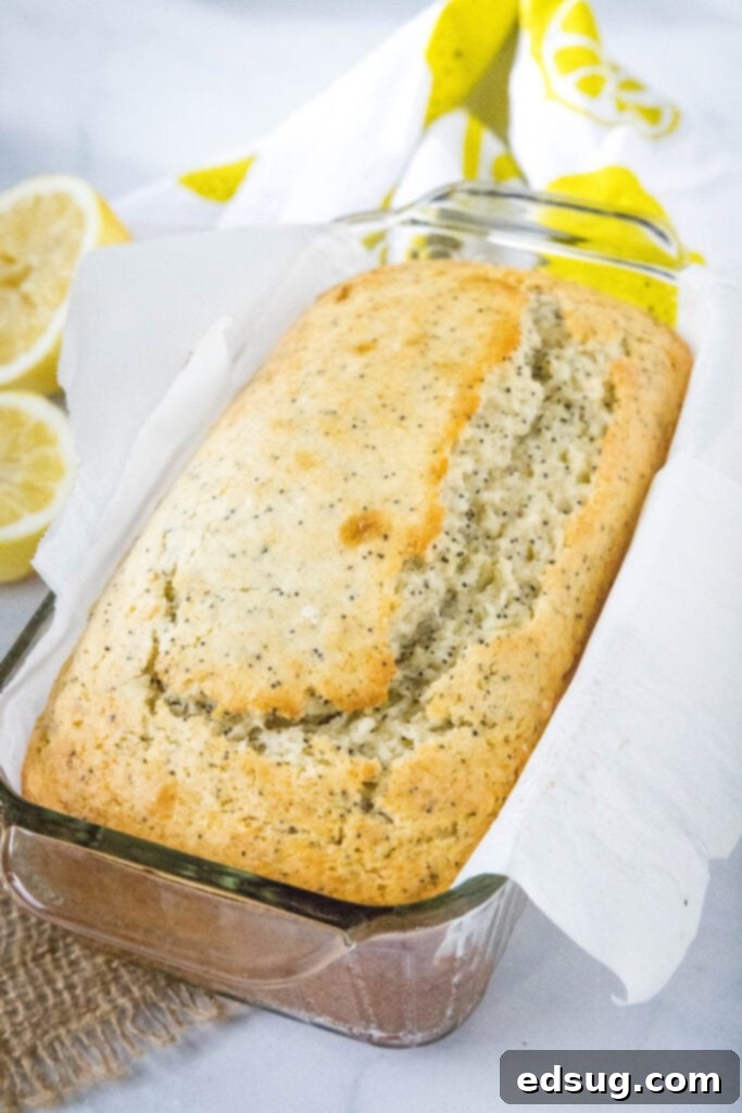 Freshly baked lemon poppy seed bread cooling in a loaf pan.