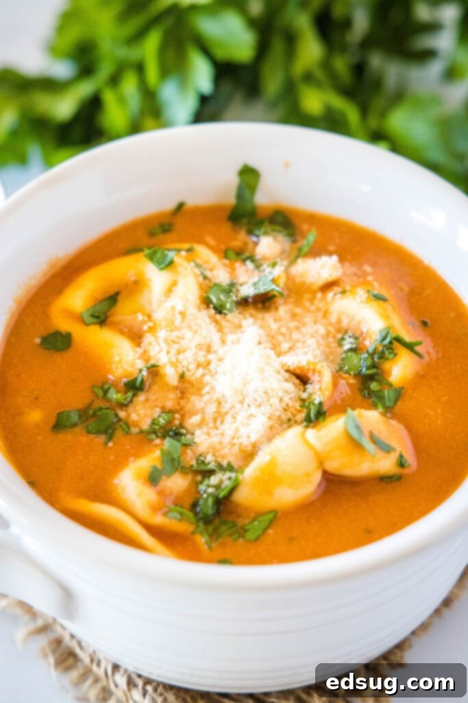 Hearty Tomato Tortellini Soup 2 creamy tortellini soup in a white bowl, garnished with parmesan cheese