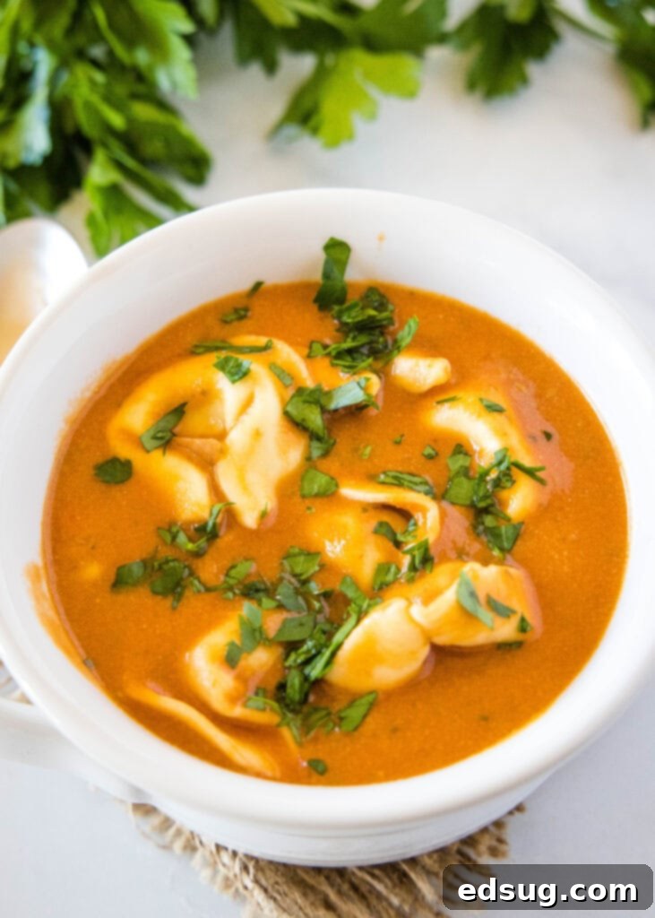 Hearty Tomato Tortellini Soup 4 a white bowl filled with creamy tomato soup and cheese tortellini