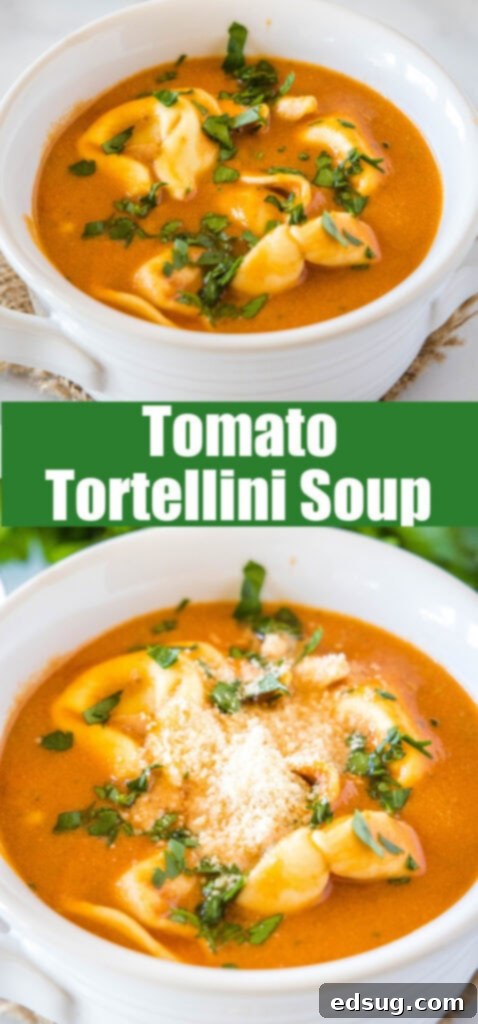 Hearty Tomato Tortellini Soup 5 close up view of creamy tomato tortellini soup in a white bowl with parmesan