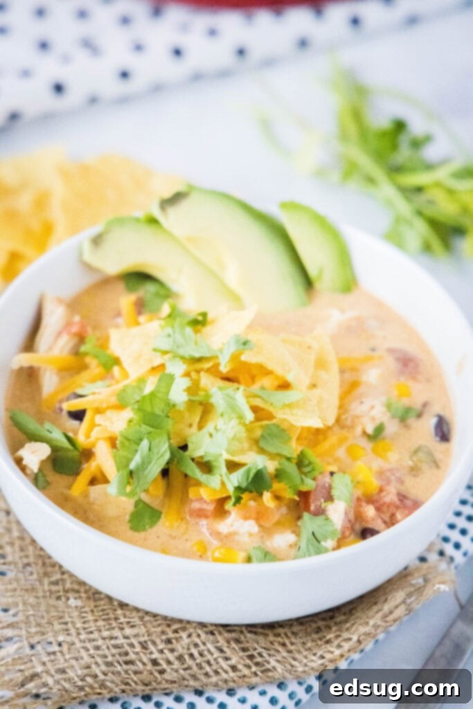 Chicken Taco Soup 2 a bowl of chicken taco soup topped with cilantro, tortilla chips and avocado