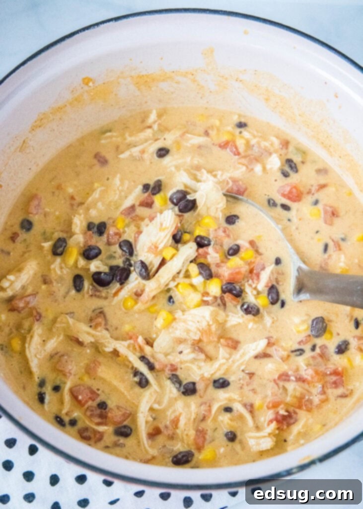 Chicken Taco Soup 4 a pot of chicken taco soup with a ladle in it