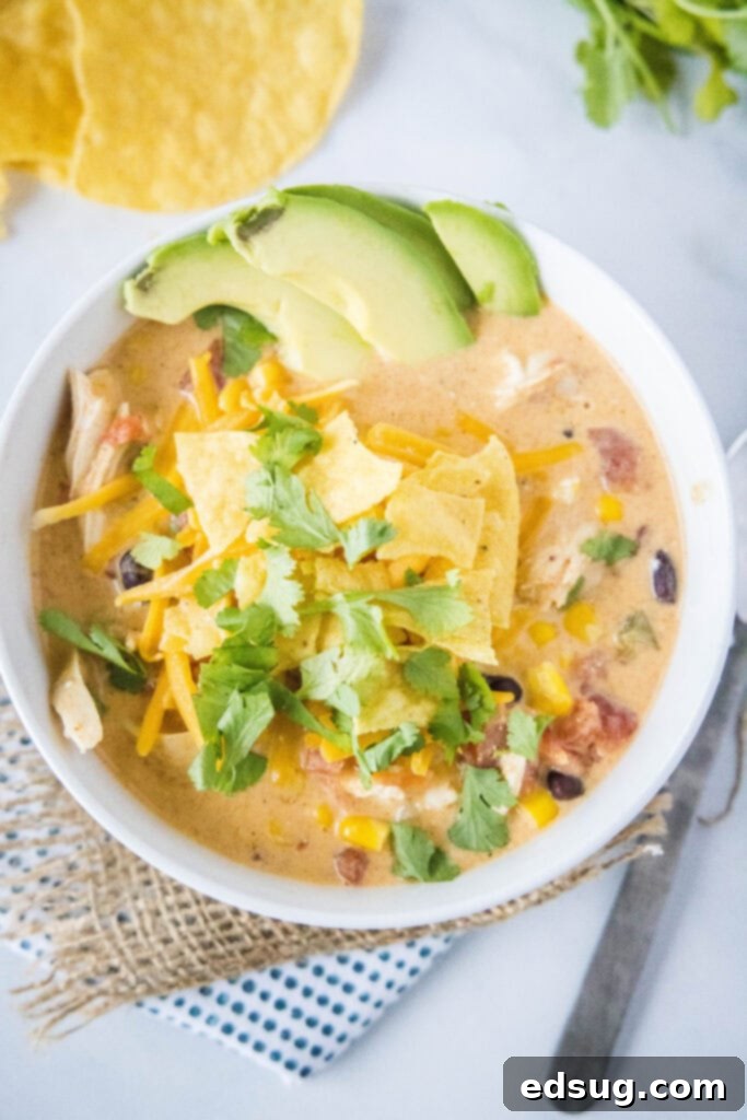 Chicken Taco Soup 5 looking down on a bowl of chicken taco soup with cilantro and tortilla chips