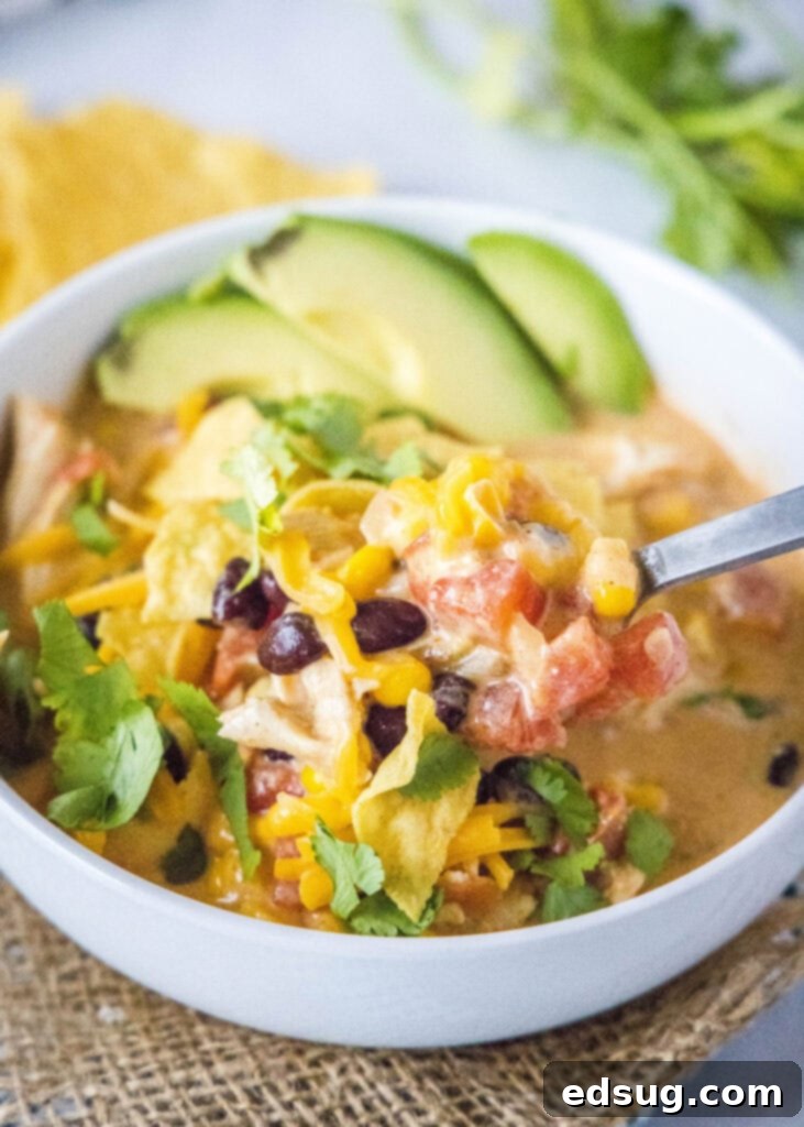 Chicken Taco Soup 6 a spoonful of chicken taco soup coming out of the bowl