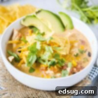 Chicken Taco Soup 7 cropped image of chicken taco soup in a bowl with tortilla chips and cilantro