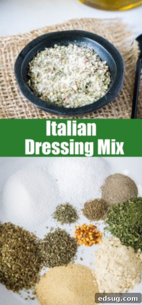 Classic Italian Salad Mix 6 A beautifully composed image of Italian dressing mix in a jar, perfect for sharing on social media like Pinterest.