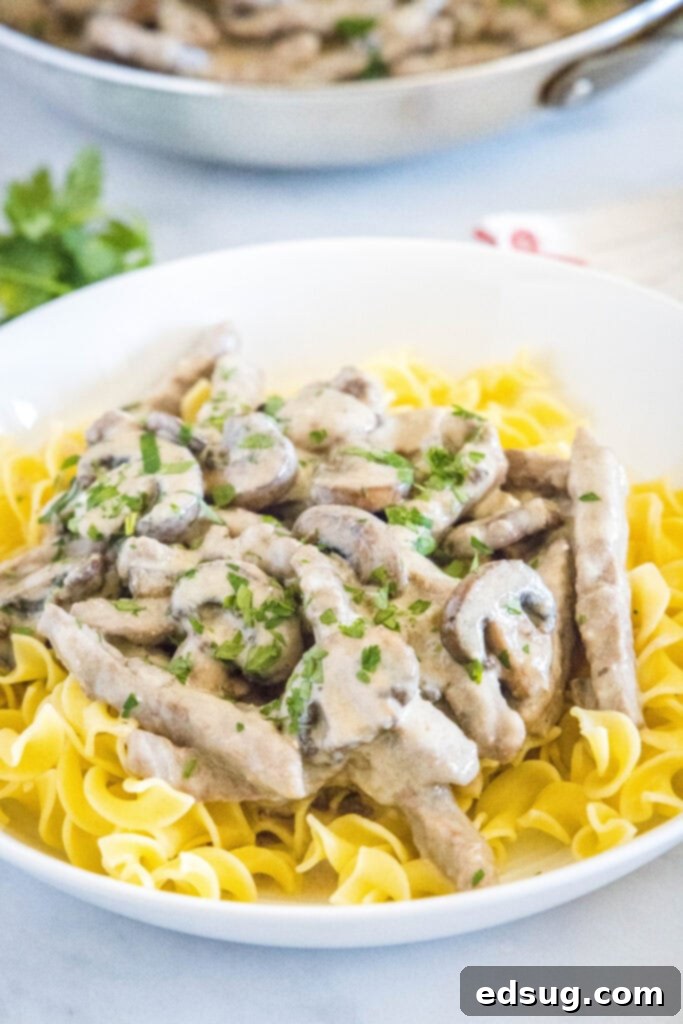 Classic Beef Stroganoff 2 Classic Beef Stroganoff served over golden egg noodles on a white plate