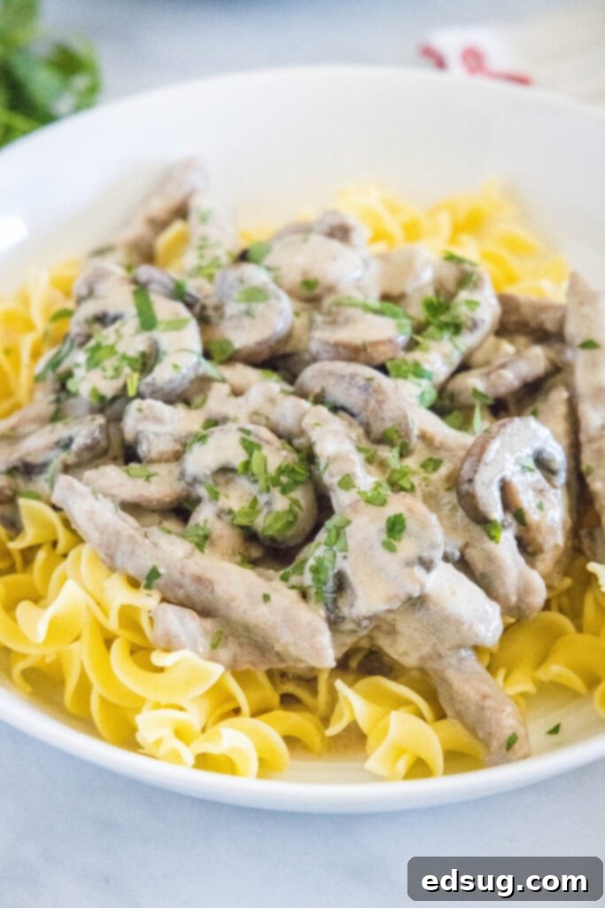 Classic Beef Stroganoff 5 A bowl of creamy beef stroganoff served over egg noodles, garnished with fresh parsley