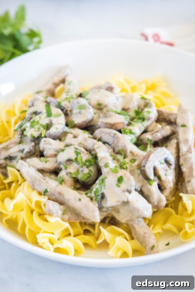 Classic Beef Stroganoff 7 A large white bowl filled with classic beef stroganoff and egg noodles, ready to eat