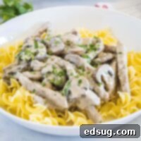Classic Beef Stroganoff 9 close up beef stroganoff and egg noodles