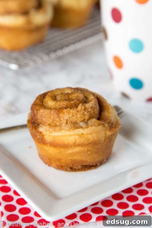 Cinnamon Swirl Muffins 3 Cinnamon roll muffin on a white plate, showcasing the swirled filling and glaze