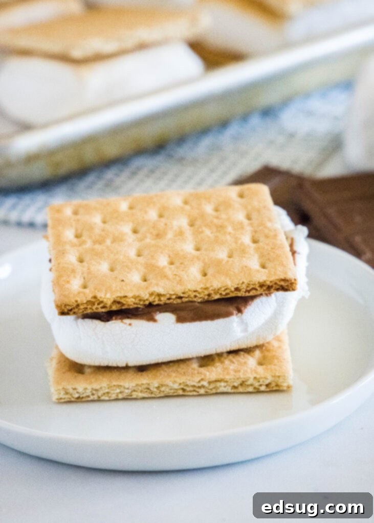 Baked Smores 2 s'mores on a white plate, showcasing a perfectly toasted marshmallow and melted chocolate
