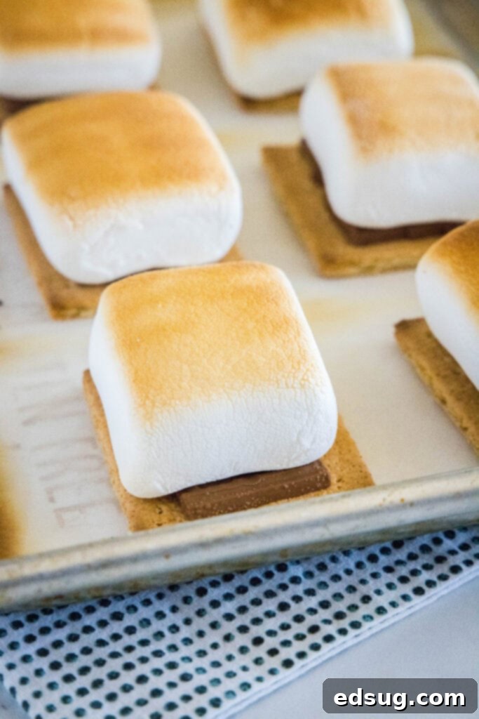 Baked Smores 4 freshly toasted marshmallows coming out of the oven