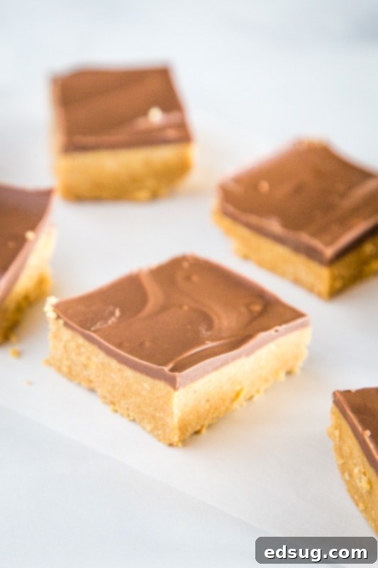 Chewy Peanut Butter Bars 3 No Bake peanut butter and chocolate bars