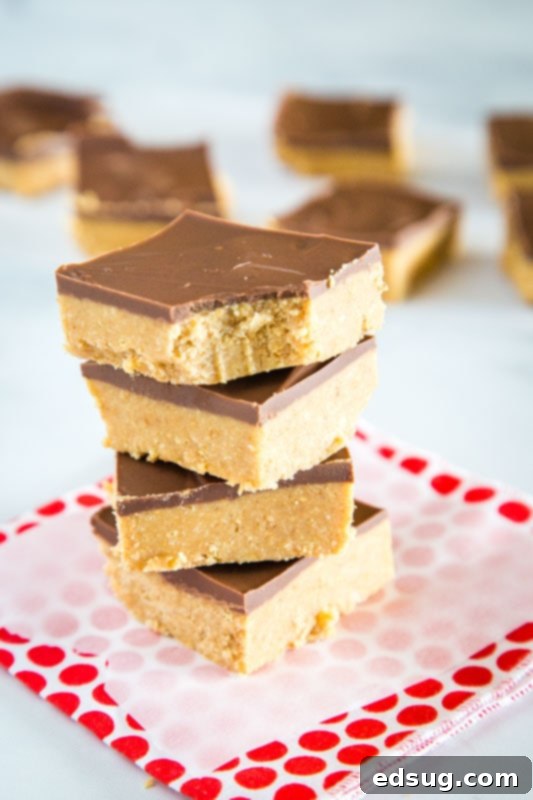 Chewy Peanut Butter Bars 5 Chocolate and peanut butter bars are a delicious and easy treat to make