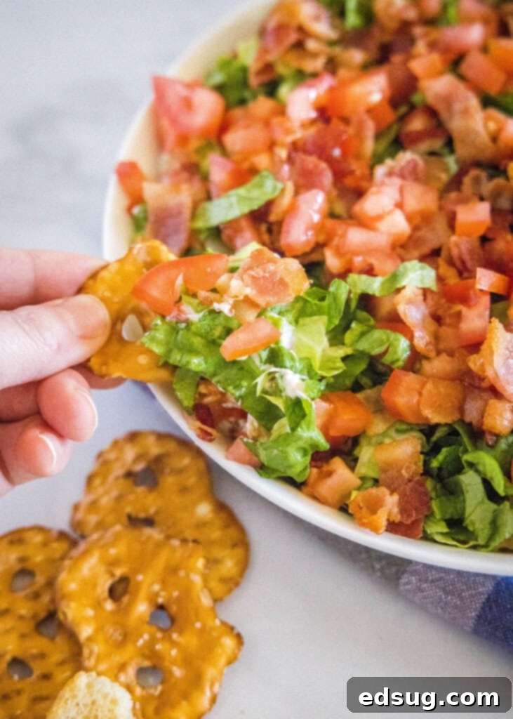 a pretzel with blt dip