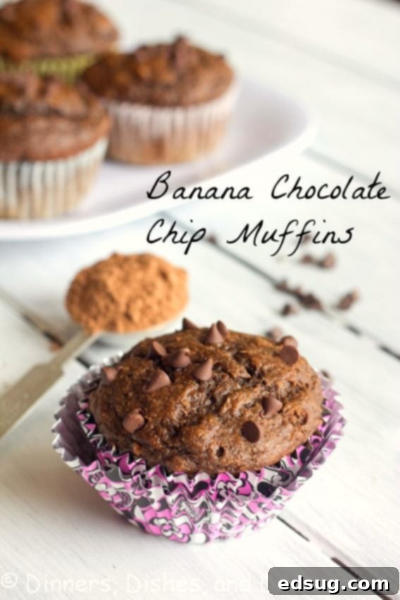 banana chocolate chip muffins on a table