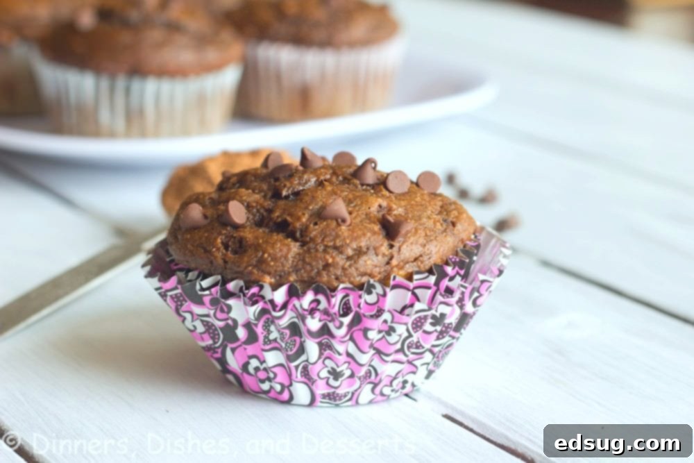banana chocolate chip muffins on a table