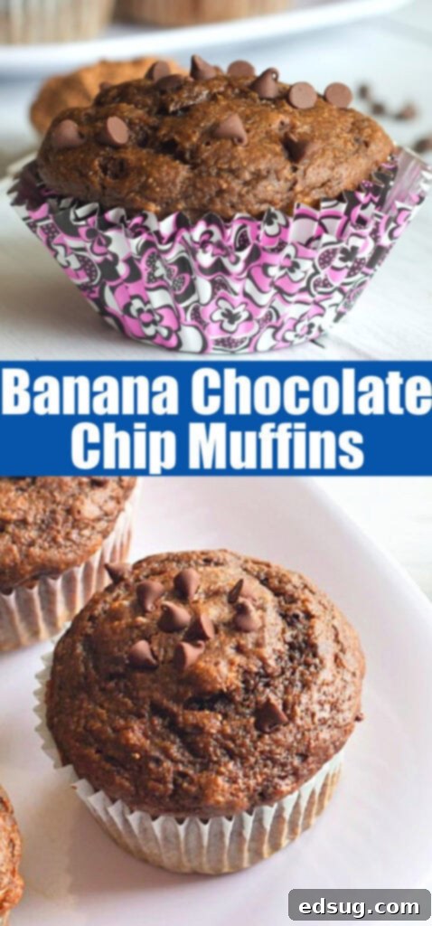 banana chocolate chip muffins close up for pinterest