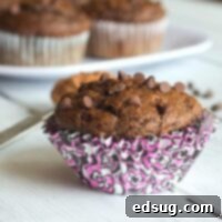 Banana Chocolate Chip Muffins - healthier banana muffins made with whole wheat flour and honey. Tender, moist, and actually pretty good for you!