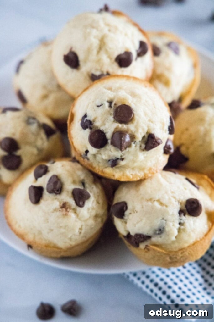 Fluffy Bisquick Muffins in Minutes 2 muffins arrange on a white plate