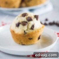 Fluffy Bisquick Muffins in Minutes 9 cropped close up chocolate chip bisquick muffin