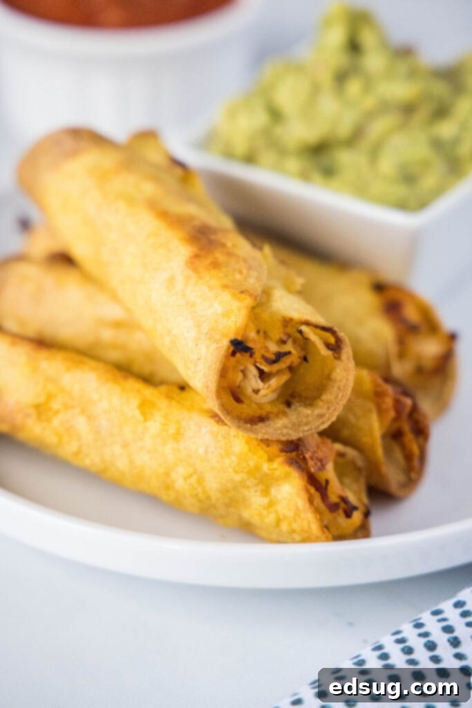 plate with stacked chicken taquitos
