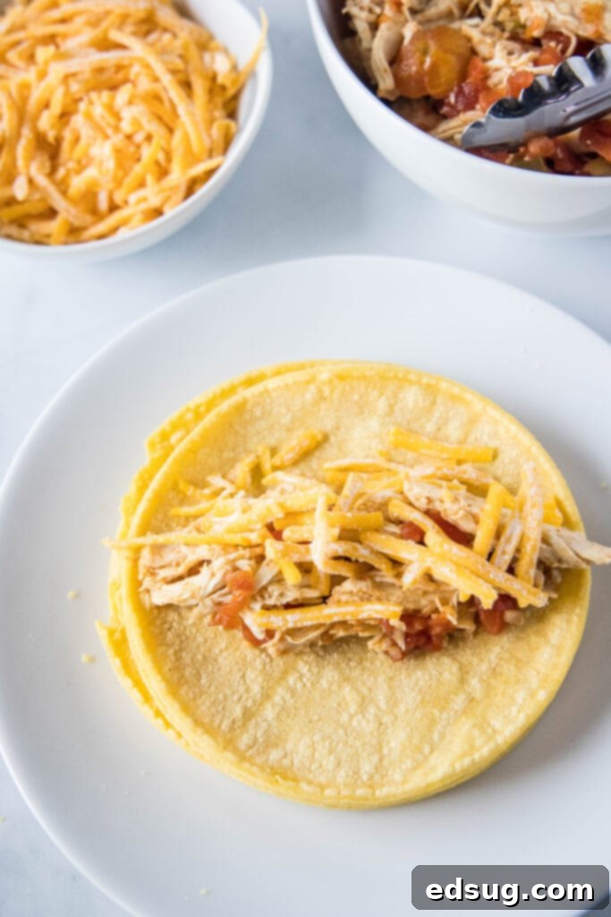 filling corn tortillas with chicken and cheese