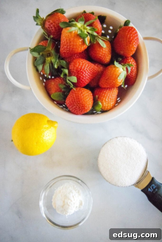 Handmade Strawberry Toaster Treasures 3 strawberry jelly ingredients