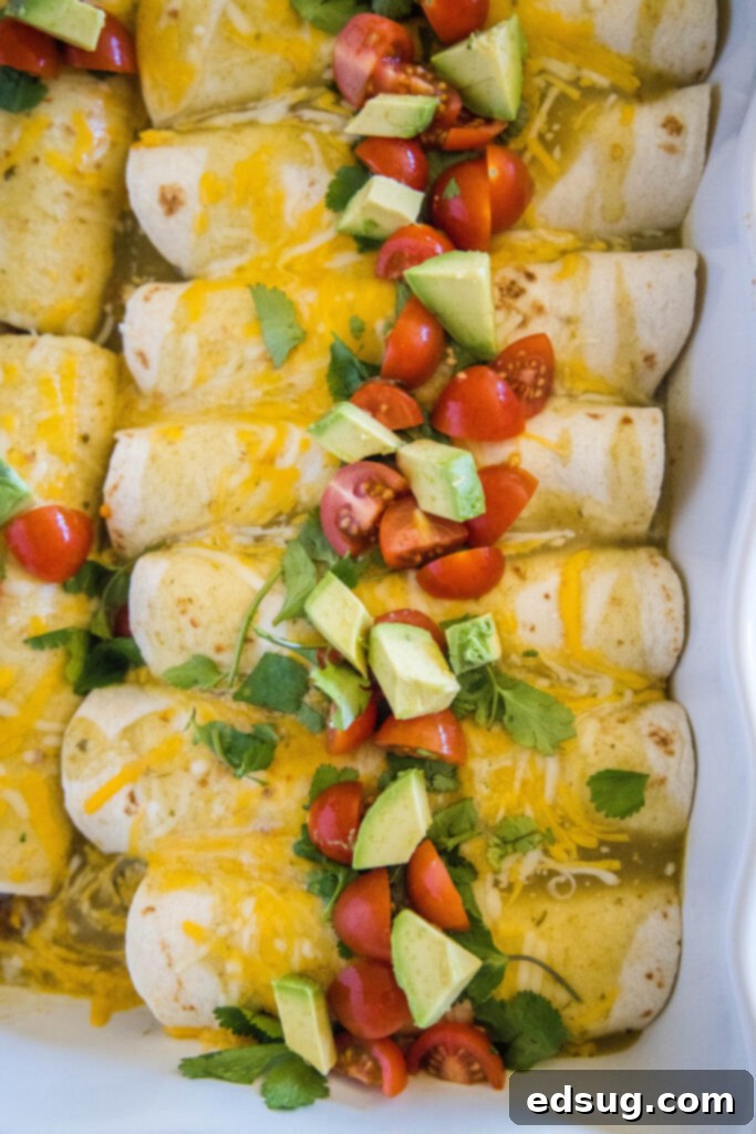 Ultimate Breakfast Enchiladas 6 a baking pan with enchiladas