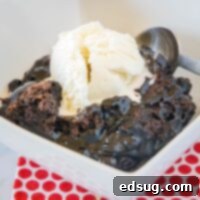 close up chocolate cobbler in a bowl with ice cream