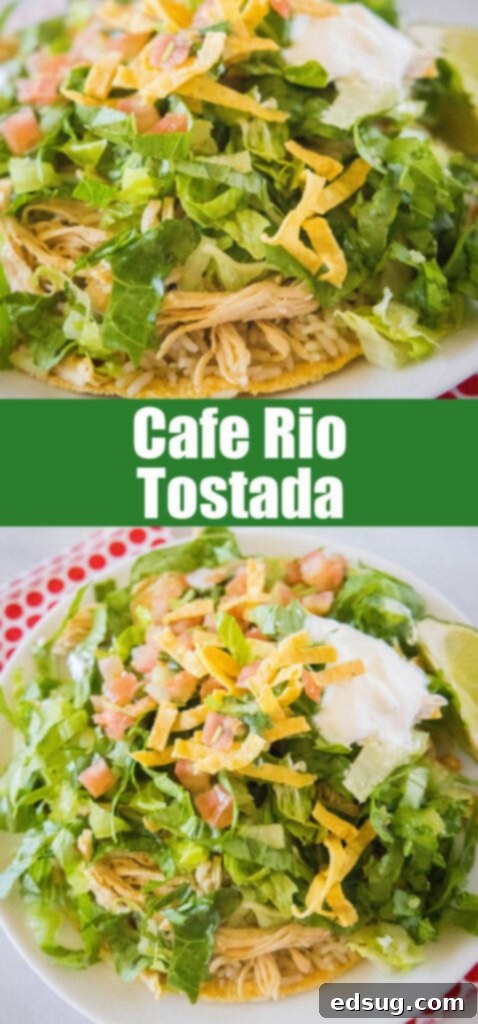 chicken tostada close up for pinterest