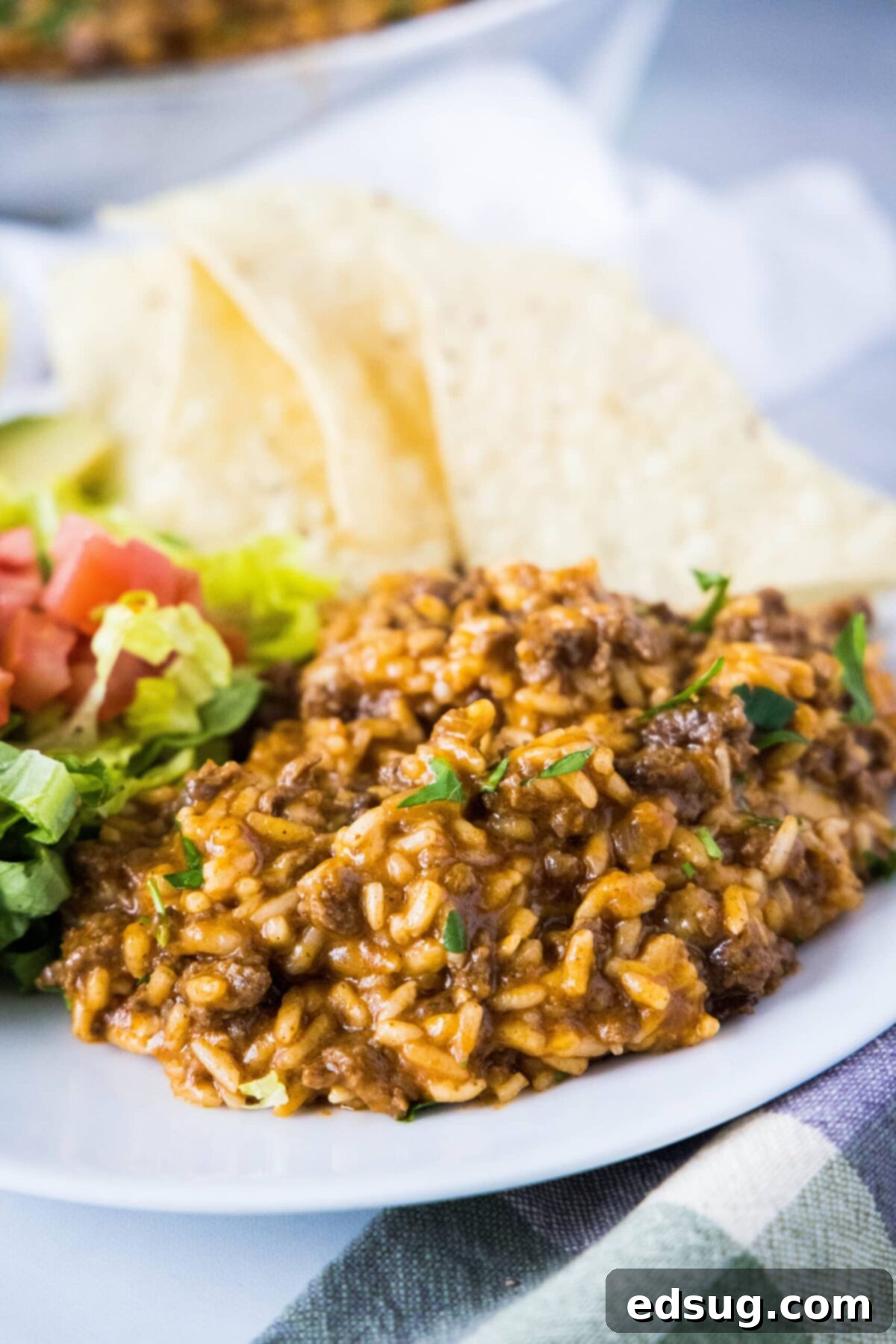 A plate with taco rice, topped with lettuce and cilantro, with tortilla chips on the side