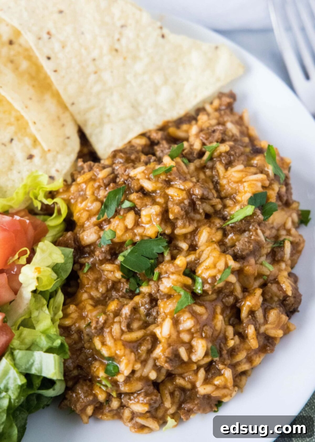 Overhead view of taco rice on a plate, topped with cilantro, next to tortilla chips and a salad of lettuce and tomatoes