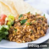 Taco rice on a plate, topped with cilantro, with tortilla chips behind it