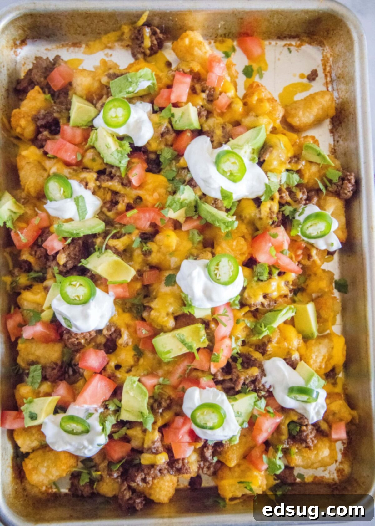 Overhead view of a full baking sheet filled with tater tot nachos, with sour cream, jalapeños, tomatoes, avocado, and cilantro on top
