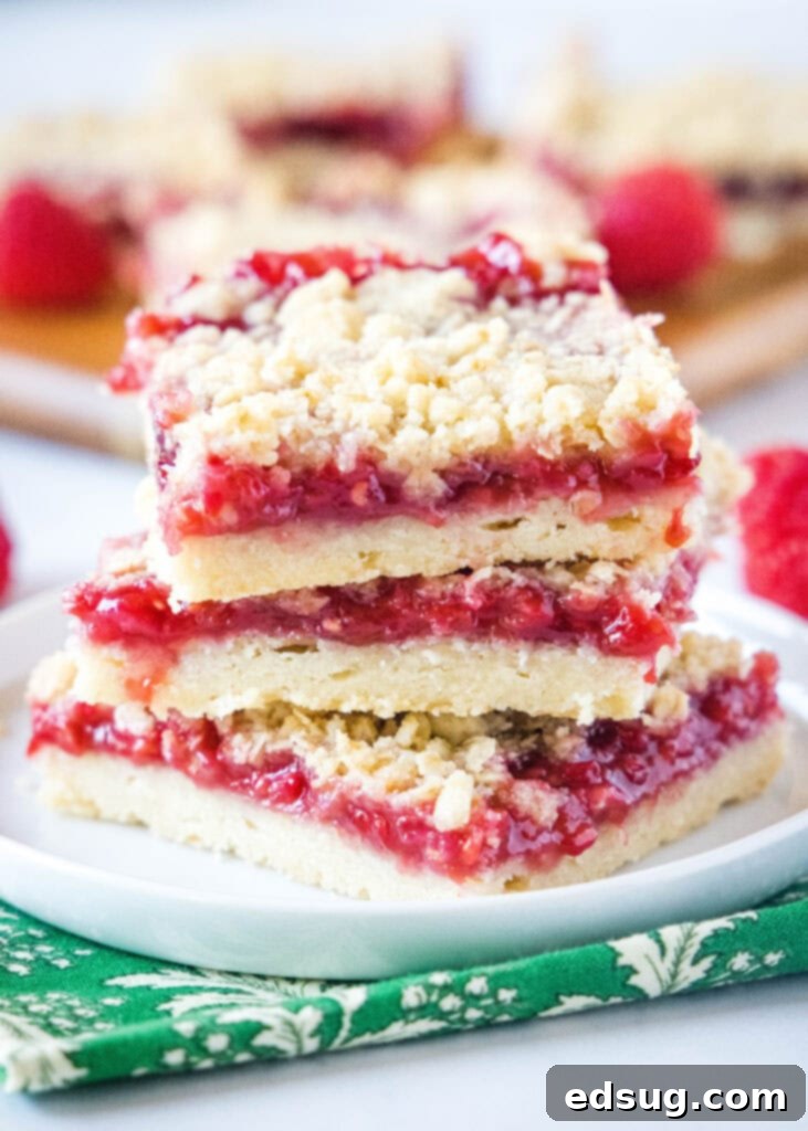 Luscious Raspberry Crumble Bars 2 stacked raspberry crumb bars on white plate, showcasing their layers of crust, filling, and crumble