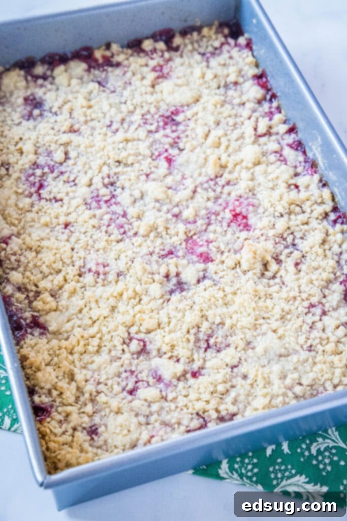 Luscious Raspberry Crumble Bars 5 baked raspberry crumble bars in pan, golden and bubbly