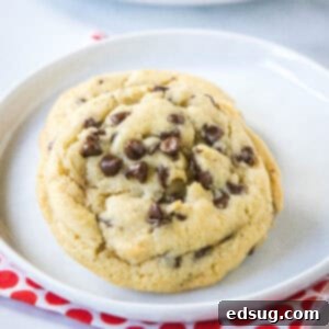 The Ultimate Chocolate Chip Cookies 5 cropped close up chocolate chip cookie on a plate