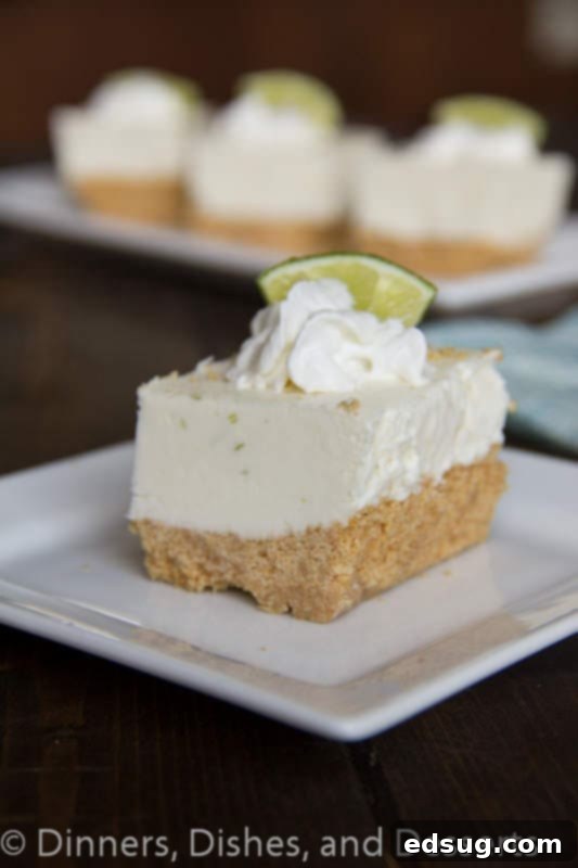 Close-up of a single frozen key lime margarita square on a plate, showing its creamy texture and crust
