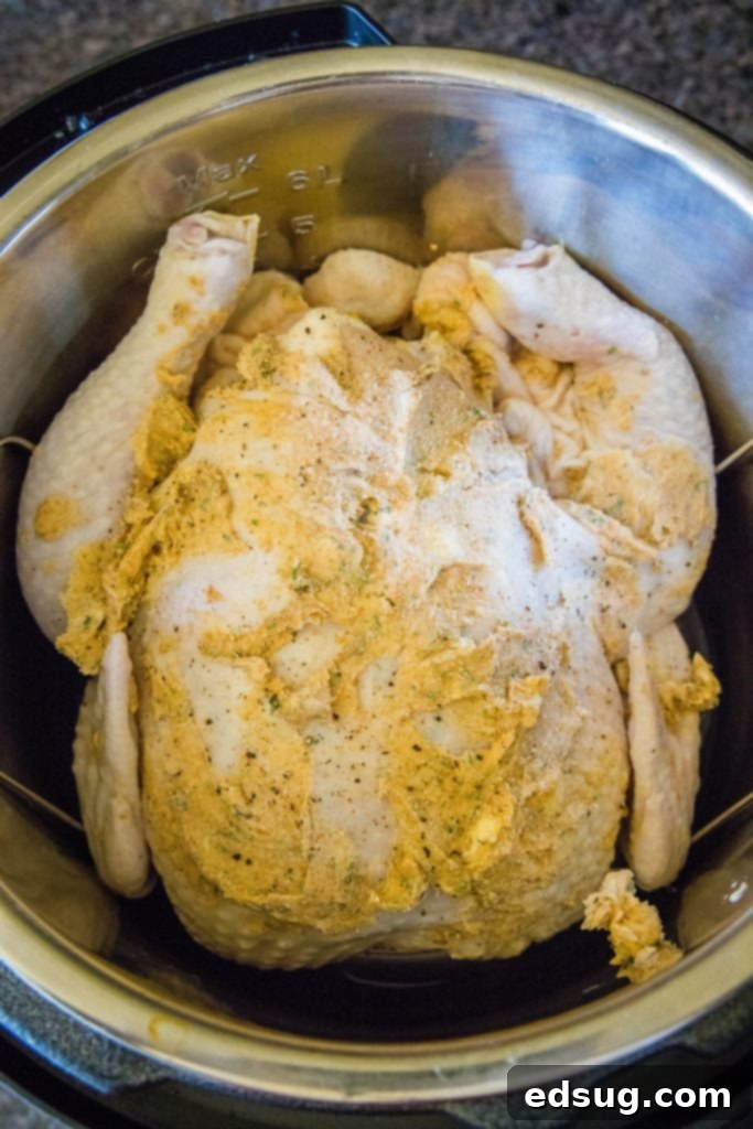 Perfect Instant Pot Whole Chicken 4 Whole chicken sitting on a trivet in the Instant Pot before cooking