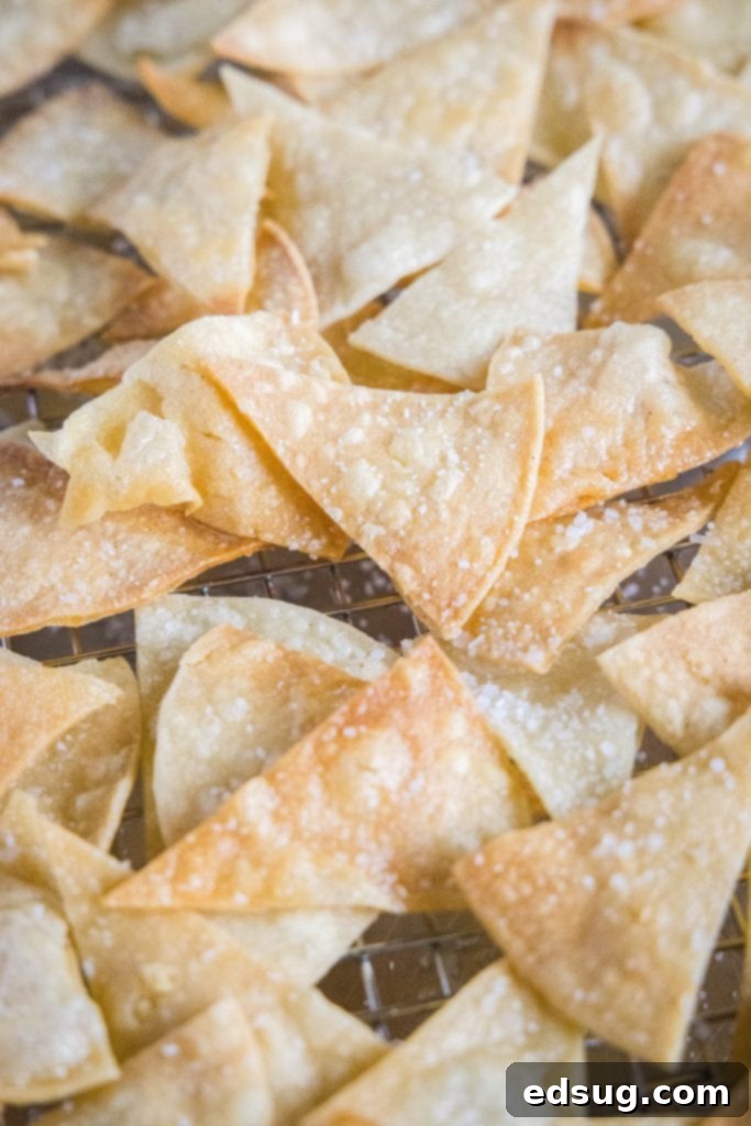 From Scratch Tortilla Chips 2 Close up of a pile of freshly made homemade tortilla chips, perfectly golden and seasoned.