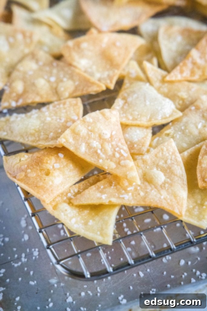 From Scratch Tortilla Chips 7 Freshly fried homemade tortilla chips draining on a wire rack set over a baking sheet.