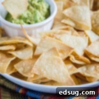 From Scratch Tortilla Chips 10 Crispy homemade tortilla chips ready for dipping.