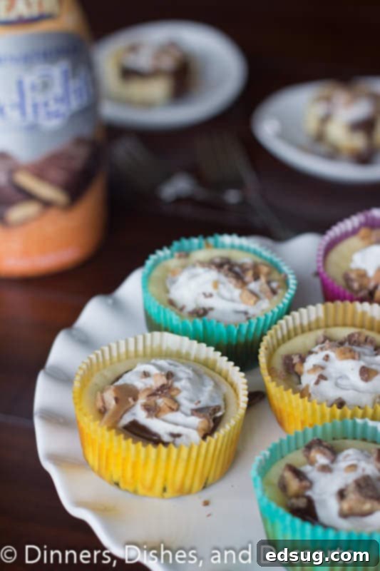 Mini Heath Bar Cheesecakes #recipe mini heath bar cheesecake on a plate