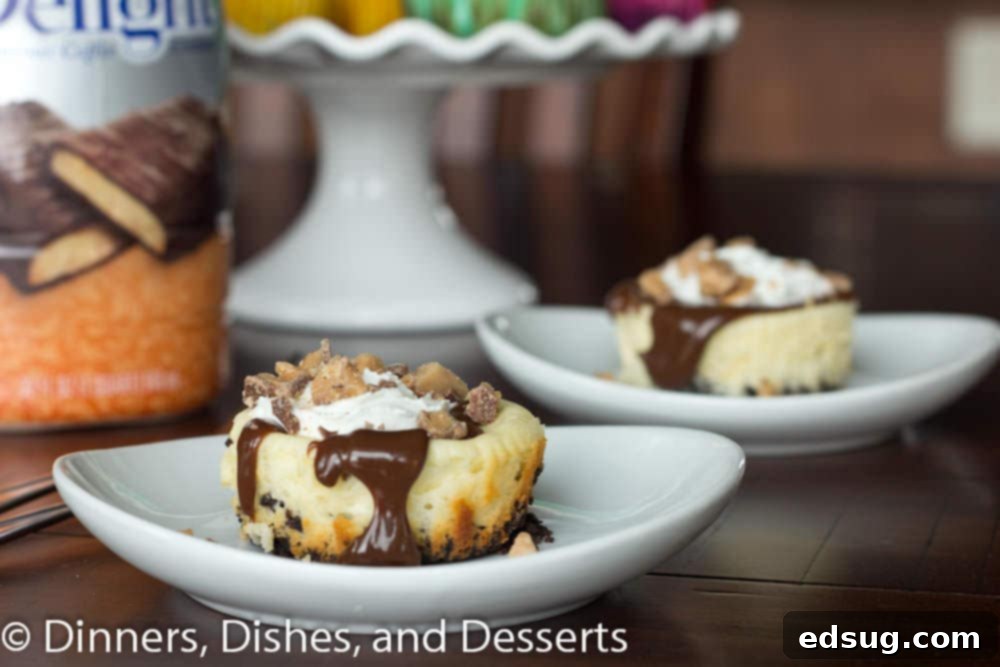 Mini Heath Bar Cheesecakes #recipe mini heath bar cheesecake on a plate