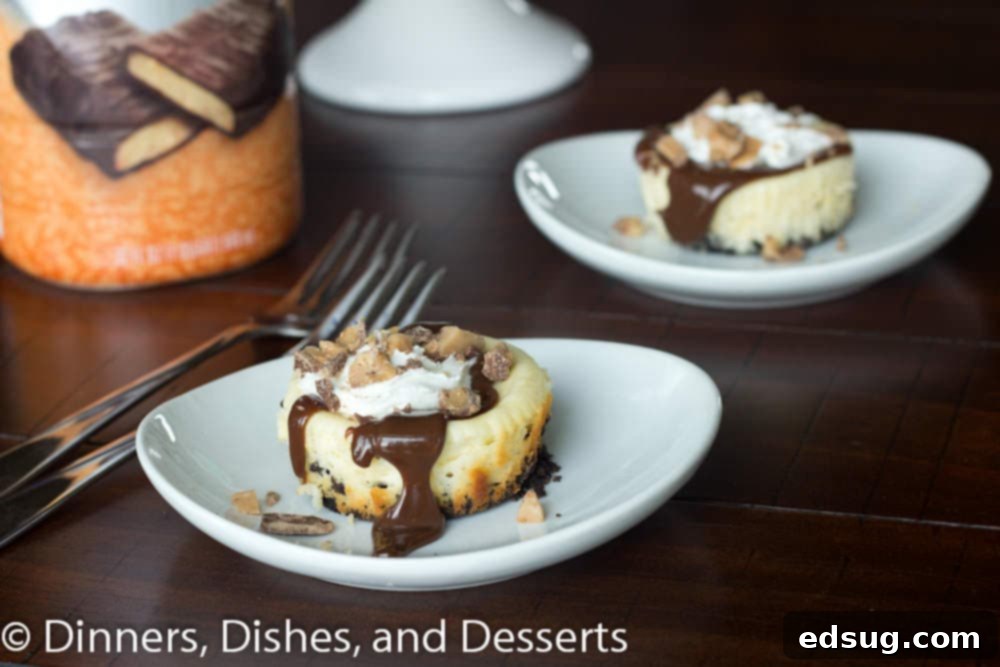 Mini Heath Bar Cheesecakes #recipe mini heath bar cheesecake on a plate