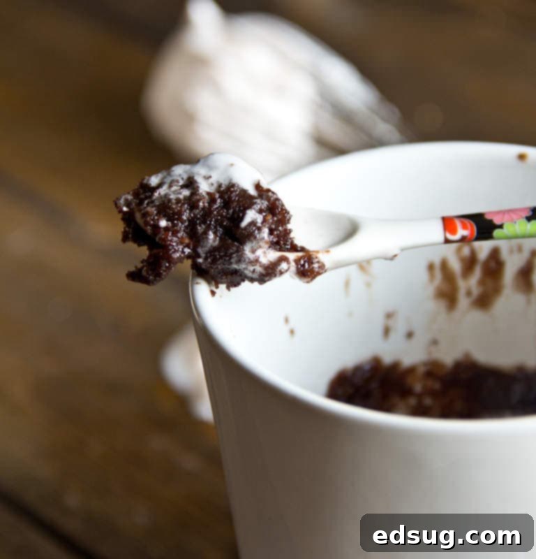 Chocolate Mug Cake w/ Cherry Whipped Cream #recipe #chocolateparty chocolate mug cake